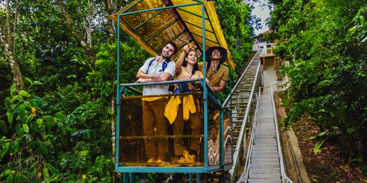 Um centro de pesquisa em biodiversidade, com trilhas que permitem aos visitantes conhecer uma floresta cheia de descobertas científicas e históricas - Foto: Divulgação