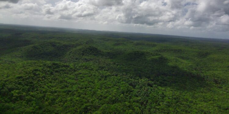 Área conhecida como terras de Timbotuba, em Alcântara (MA) com rico ecossistema, que pode se tornar a RPPN Shipping Protection / Reserva Particular do Patrimônio Natural - Foto: Divulgação