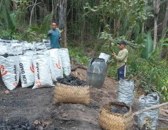 A atividade ilegal de fabricação e comércio de carvão está destruindo as terras, e aumentando a emissão de CO2, daí a importância da implantação da RPPN em Timbotuba - Foto: Divulgação