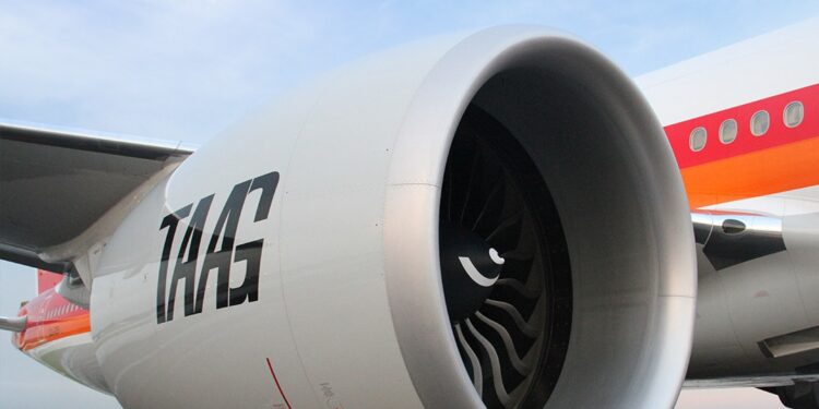 Opções atendem a restrições alimentares, religiosas e preferências específicas - Foto: Divulgação