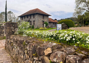 Roteiro em Bento Gonçalves une o charme da Serra Gaúcha a um turismo imersivo - Foto: Divulgação