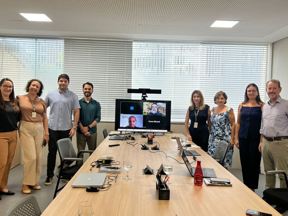 Siomara Brandião Basto (FAESA-ES), Ester Macedo (INEP/MEC); Fábio Carvalho e prof. Rodrigo Monteiro (UNDB), Rebeca Murad, a reitora Ceres Murad, Graciana Cordeiro e César Augusto Oliveira (PUC- PR) em grupo de trabalho sobre Autoavaliação Acadêmica - Foto: Divulgação