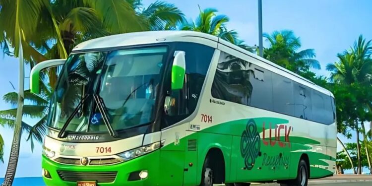 Novo modelo de serviço reúne transfer e passeios com escolha no destino, disponível em todas as bases da empresa - Foto: Divulgação