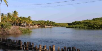 Escondido entre os coqueirais, está o Refúgio do Igarapé, ideal para dias de descanso em meio à natureza – Foto: Danielle Vieira