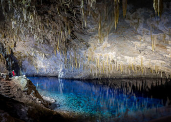 Participação é fundamental para ampliar o diagnóstico - Foto: Divulgação