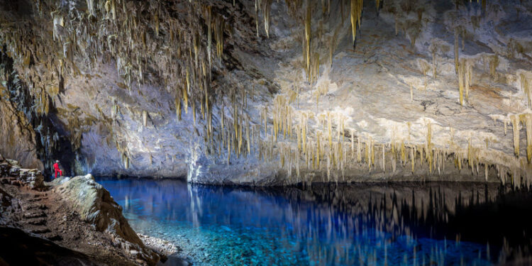 Participação é fundamental para ampliar o diagnóstico - Foto: Divulgação