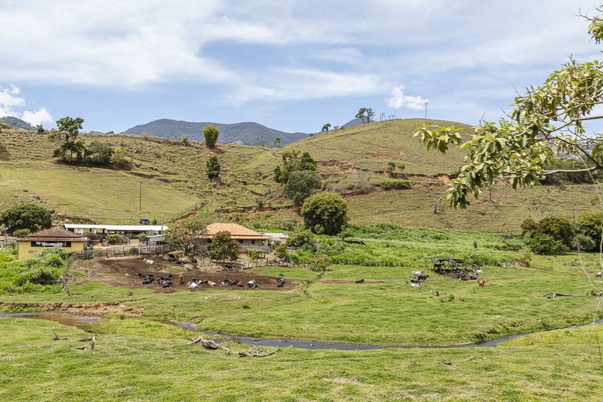 Minas Gerais se fortalece cada mais, sendo protagonista no setor produtivo. No detalhe, as fazendas rurais que fomentam a agricultura no Estado - Foto: Patrick_Arley