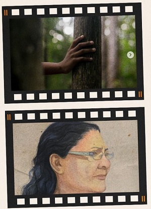 Cinema - Foto: Divulgação