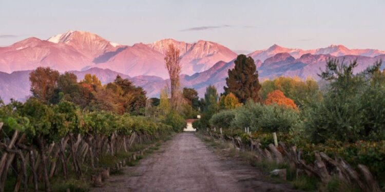 Seleção anual classifica experiências em vinícolas globais e posiciona a Kaiken como referência e destino imperdível na América do Sul - Foto: Divulgação