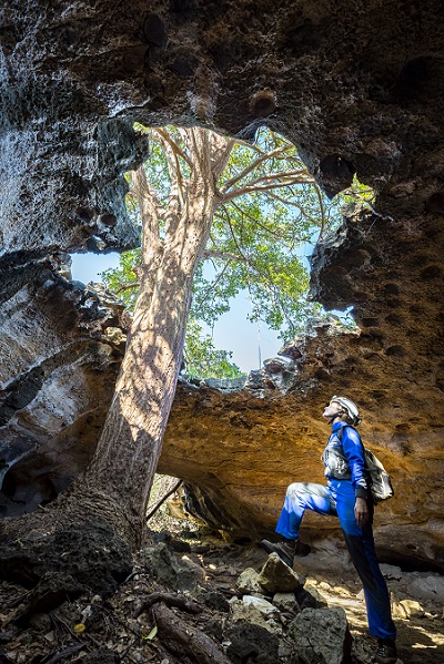 O Abrigo do Letreiro abriga uma rica biodiversidade conhecida por suas pinturas rupestres milenares - Foto: ICMBio-Cecav