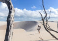 A travessia a pé pelos Lençóis Maranhenses oferece uma imersão completa na vastidão do parque nacional - Foto: Divulgação