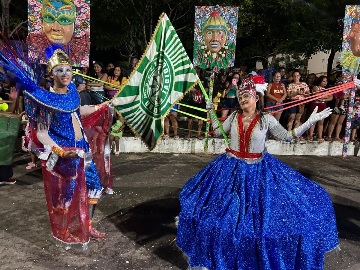 Agremiações carnavalescas locais fazem a festa na tradicional Passarela do Samba - Foto: Divulgação