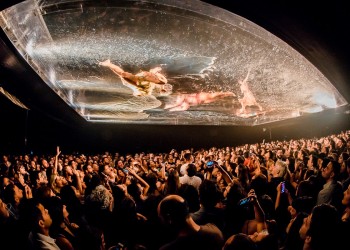 Curitiba recebe o Fuerza Bruta