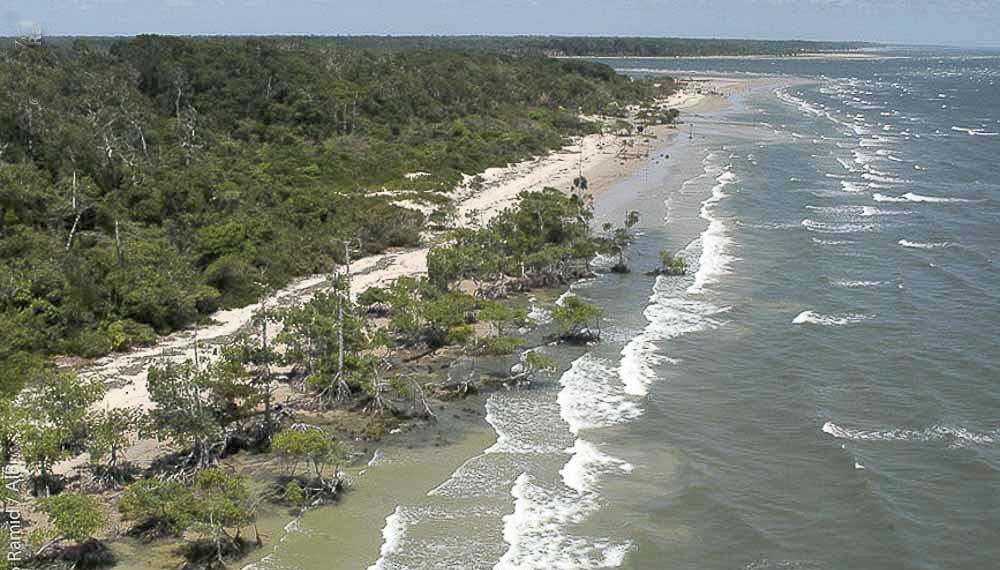 Pará tem atrativos que encantam turistas