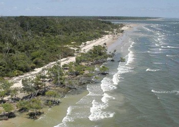 Pará tem atrativos que encantam turistas