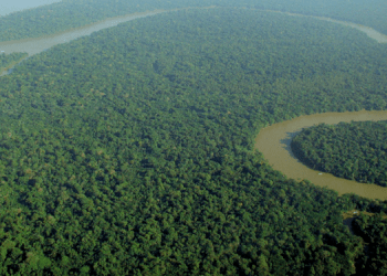 Amazônia se destaca entre os melhores lugares do mundo
