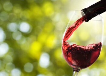 Festival de Inverno de Cellar aquece o clima dos amantes de um bom vinho