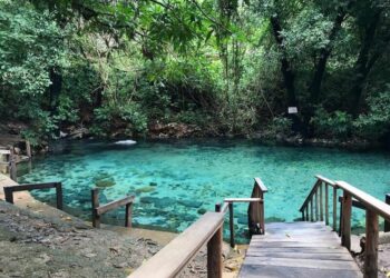 Azuis, o menor rio do Brasil e terceiro menor do mundo - Foto: Flávio Cavalera