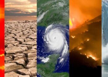 Como frear o aquecimento global: a parte que cabe a cada um