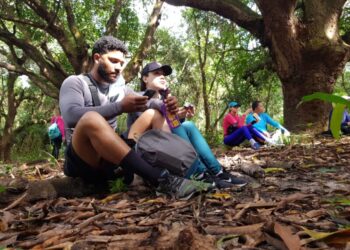 Uma pausa no santuário das mangueiras para apreciar as árvores plantadas há mais de 50 anos na Reserva do Itapiracô - Foto: Yndara Vasques