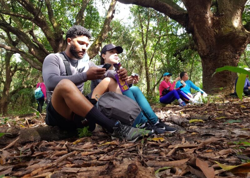 Uma pausa no santuário das mangueiras para apreciar as árvores plantadas há mais de 50 anos na Reserva do Itapiracô - Foto: Yndara Vasques