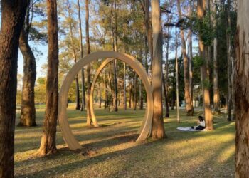 Obra Growth Rings, de Oscar Tuazón, exposta ao lado do lago das fontes, entre portões 9 e 10 do Parque Ibirapuera. Escultura faz parte da mostra que antecede à 34ª Bienal de São Paulo - Foto: Urbia Parques