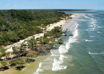 Programação inclui lançamento de roteiros turísticos pela malha fluvial - Foto: João Ramid