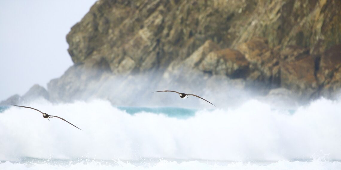 Paisagens deslumbrantes e uma atmosfera extremamente agradável fazem de Fernando de Noronha um dos mais belos destinos naturais do país – Foto: Zé Henrique