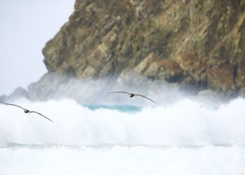 Paisagens deslumbrantes e uma atmosfera extremamente agradável fazem de Fernando de Noronha um dos mais belos destinos naturais do país – Foto: Zé Henrique