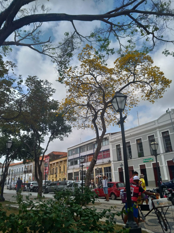 Fazia um bom tempo que ele não dava o ar da sua graça, bem no chamado Coração da Cidade – Foto: Divulgação