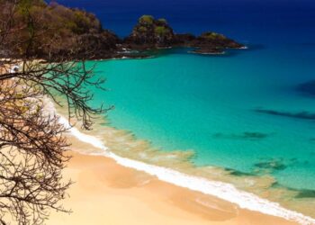 O turismo familiar tem cada vez mais aumentado em Noronha, proporcionando uma atmosfera cada vez mais harmoniosa aos ambientes - Foto: Divulgação