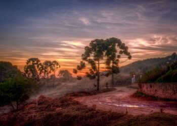 A exuberante Paisagem de Monte Verde - Foto: Divulgação
