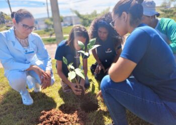 A importância das atitudes sustentáveis no caminho da responsabilidade ambiental - Foto: Divulgação
