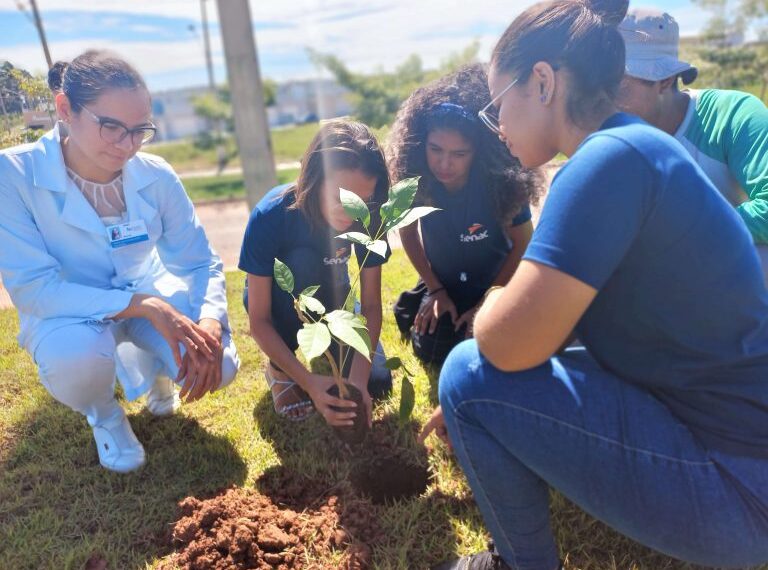 A importância das atitudes sustentáveis no caminho da responsabilidade ambiental - Foto: Divulgação