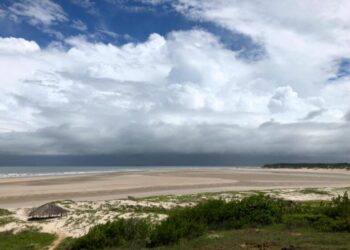 Mamuna - Uma praia deserta com ondas fortes e vista inebriante. Paisagens que mostram as maravilhas no litoral ocidental maranhense - Foto: Reprodução