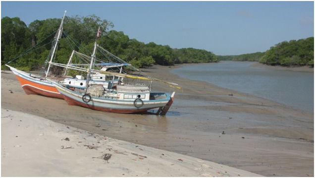 Passeios de barcos por entre os manguezais proporcionam uma contemplação das mais diferentes paisagens e aves que habitam os santuários ecológicos da região - Foto: Cláudio Farias 