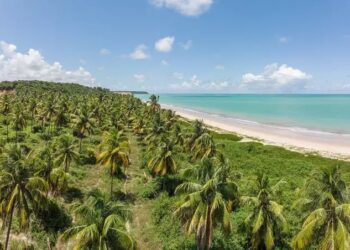 O resort possui uma enorme piscina de frente para a praia – Foto: Divulgação