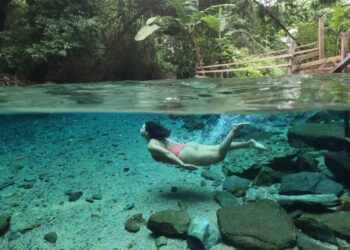 Um mergulho no Rio Azuis, o menor rio do Brasil – Foto: Hiro Isogai