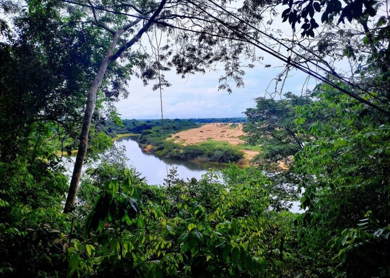 Integração com a natureza é uma das propostas do projeto - Foto: S. Fontes