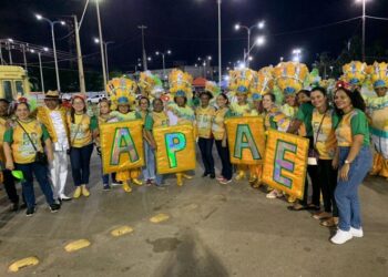 Depois de brilhar na Passarela do Samba, o Bloco vai encerrar a temporada de 2023 nesse sábado, no baile voltado para alunos da entidade e pessoas com deficiência assistidas pela instituição – Foto: Divulgação