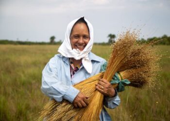 Remanescentes de escravos do Jalapão trabalham com capim dourado e turismo – Foto: Emerson Silva