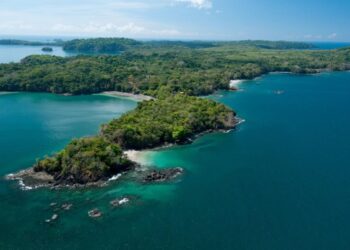 Panamá é destino certo para quem pratica pesca esportiva