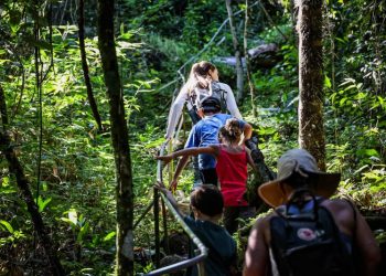 Desbravando ambientes naturais, descobrindo novos espaços - Foto: Divulgação