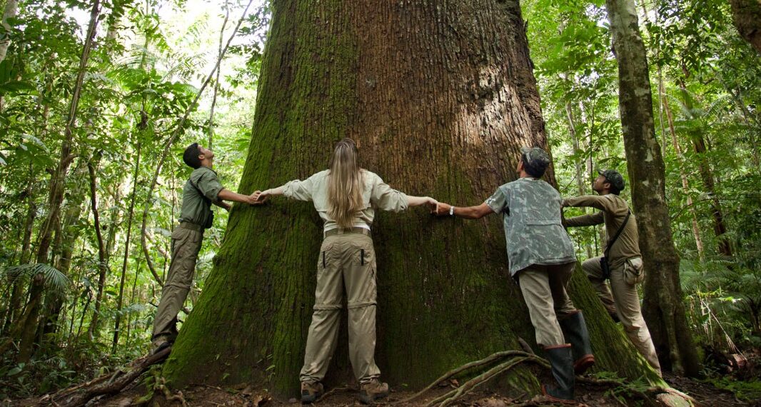 Uma imersão na natureza de uma maneira que acentua a importância do equilíbrio ambiental e da valorização de culturas e práticas locais - Foto: Samuel Melim