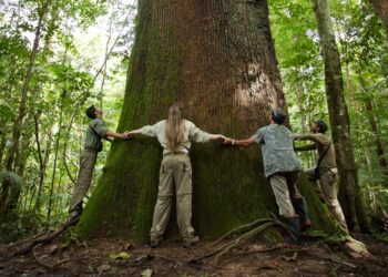 Uma imersão na natureza de uma maneira que acentua a importância do equilíbrio ambiental e da valorização de culturas e práticas locais - Foto: Samuel Melim