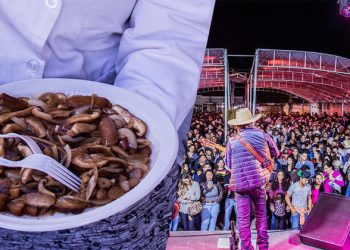 Gastronomia a base do Pinhão no tradicional festival de Cunha - Foto: Divulgação