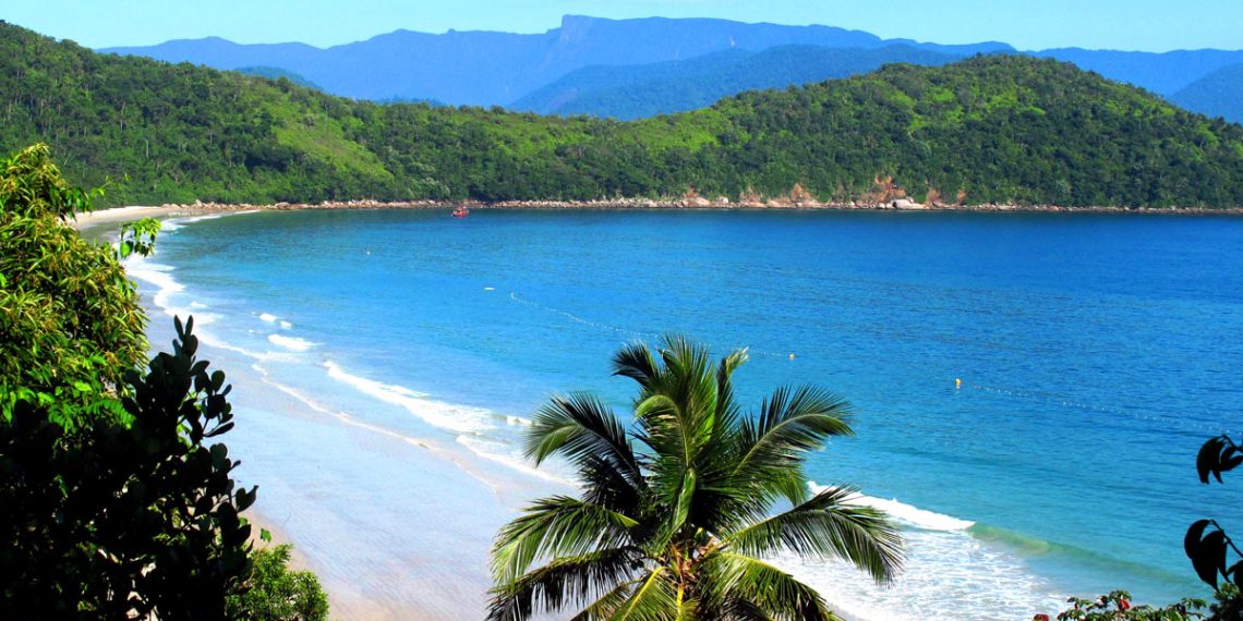 Devido à atratividade de seus elementos interpretativos, também existe um roteiro destinado a realização da trilha de forma monitorada, abordando aspectos de formação geológica da Ilha, conceitos e curiosidades sobre fauna e flora, e sobre a antiga ocupação na ilha - Foto: Divulgação