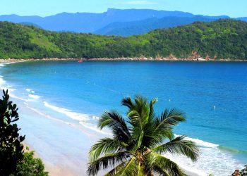 Devido à atratividade de seus elementos interpretativos, também existe um roteiro destinado a realização da trilha de forma monitorada, abordando aspectos de formação geológica da Ilha, conceitos e curiosidades sobre fauna e flora, e sobre a antiga ocupação na ilha - Foto: Divulgação