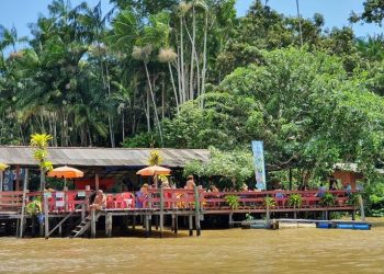 Um paraíso exótico e natural que se descortina a cada paisagem de suas trilhas e águas do Rio Amazonas– Foto: Divulgação
