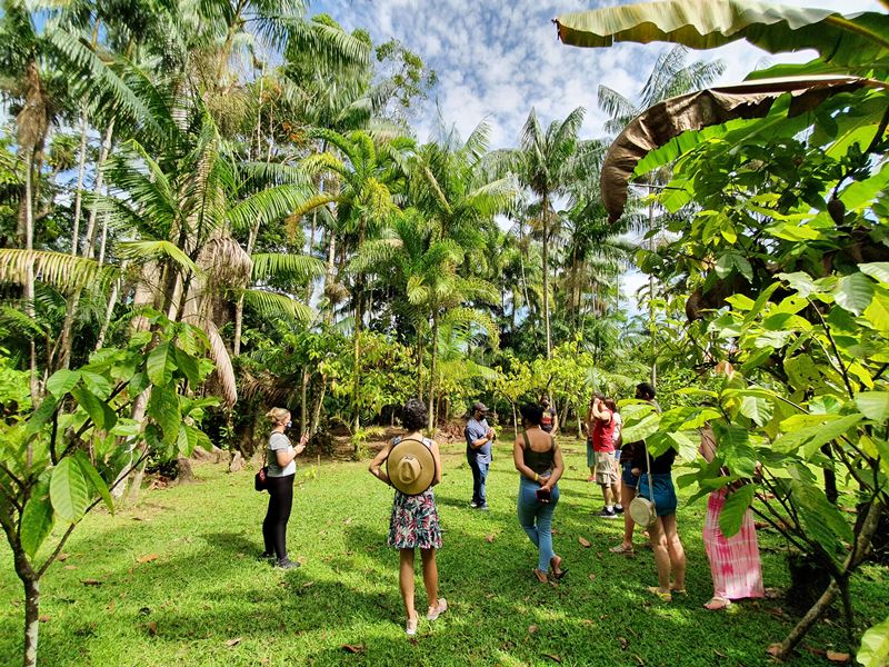Turistas acompanhados de guias apreciam a natureza entre árvores centenárias da região – Foto: Divulgação
